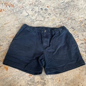 Navy blue chubbies Shorts